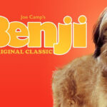 Film: Benji (1974)