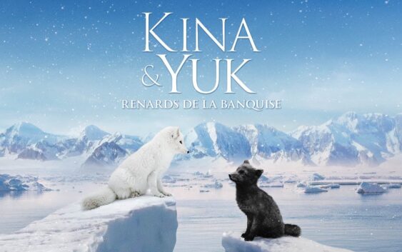 Film Kina a Juk Príbeh líštičiek 2023