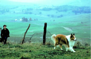 Film_Lassie_1994