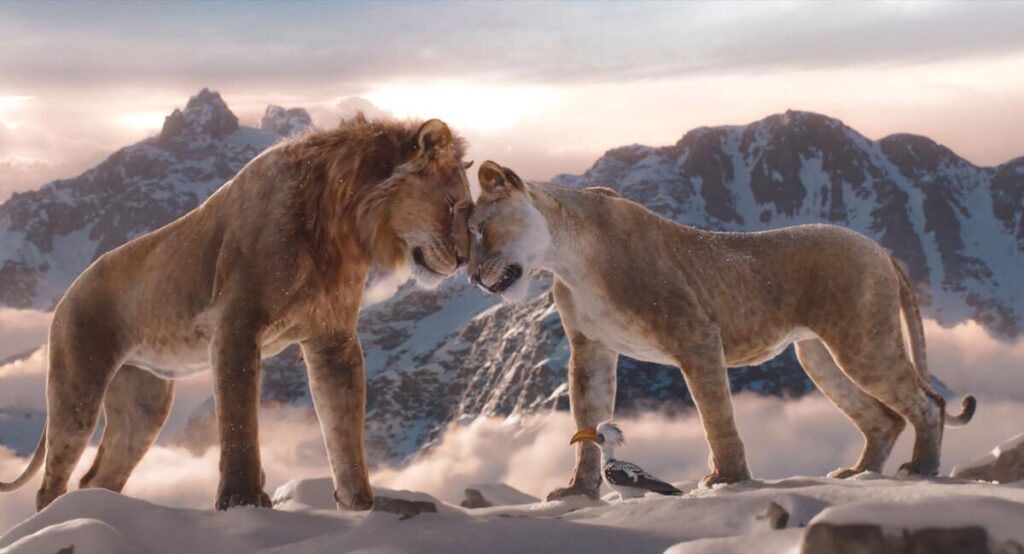 Mufasa Levi kral