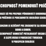 Neschopnosť pomenovať príčiny